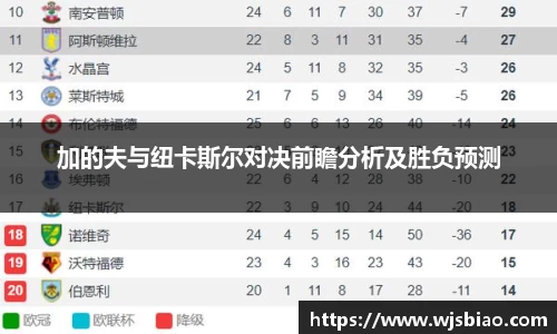熊猫体育